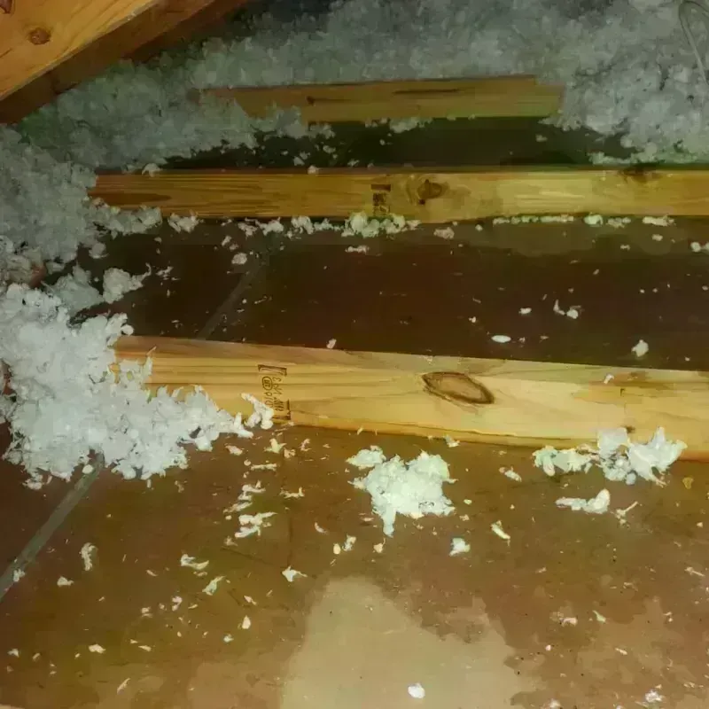 Attic Water Damage in Lordsburg, NM